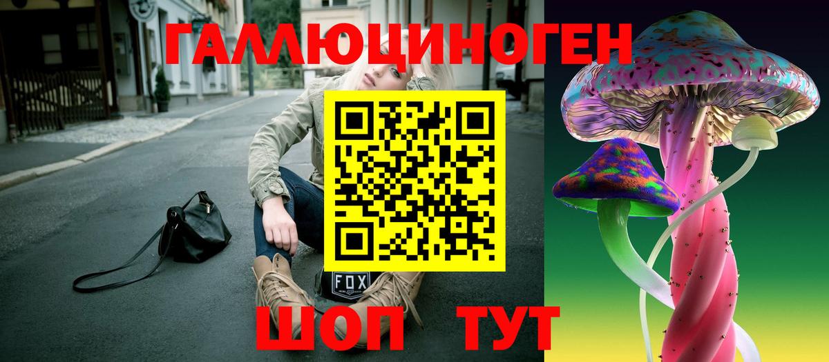Псилоцибиновые грибы Cubensis  Псилоцибиновые грибы прущие грибы  Киселёвск  Вход с VPN 